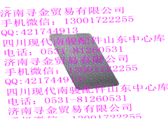 ,仪表板安装螺栓盖板（右）,济南寻金贸易有限公司