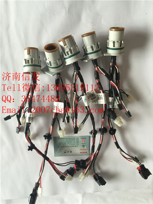 24V-A041B881 Ecofit尿素泵體內(nèi)線束/24V-A041B881 Ecofit尿素泵體內(nèi)線束