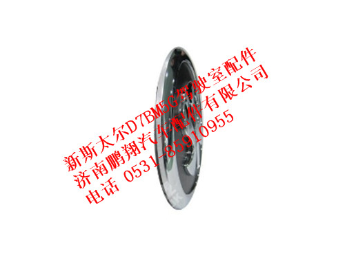 wg1632111010-0,STEYR图案商标（新斯太尔M5驾驶室）,济南鹏翔汽车配件有限公司