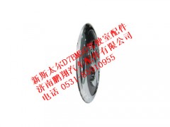 wg1632111010-0,STEYR图案商标（新斯太尔M5驾驶室）,济南鹏翔汽车配件有限公司