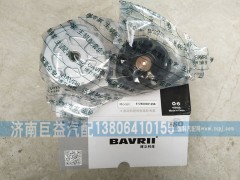 612600061256,涨紧轮,济南盛伟汽配