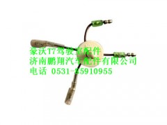 wg9925720017-0,杂物箱灯门控开关豪沃T7,济南鹏翔汽车配件有限公司