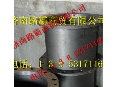 75201738AOK,桥轮边总成,济南汇德卡汽车零部件有限公司