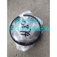 202V02503-0874 油环