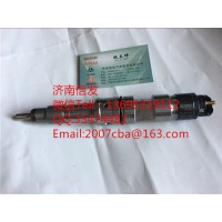 0445120389潍柴欧五喷油器