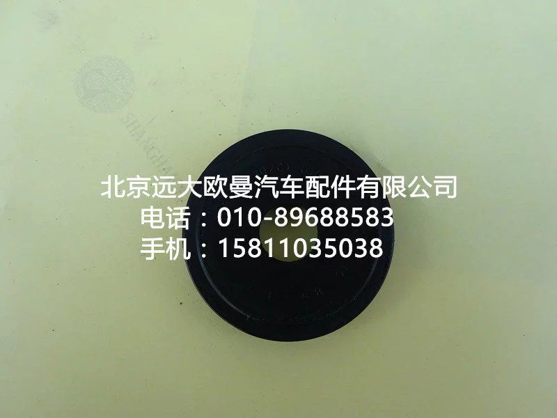 ,30Z01-主销油封01037,北京远大欧曼汽车配件有限公司