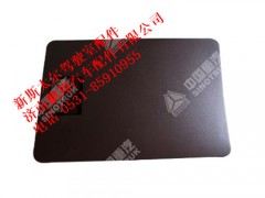 wg1684778021-0,新斯太尔侧杂物盒盖总成,济南鹏翔汽车配件有限公司