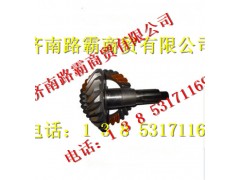 199014320252,STR桥29  15中桥盆角齿,济南汇德卡汽车零部件有限公司