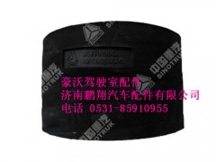 wg9318190021-0,豪沃金王子胶管,济南鹏翔汽车配件有限公司