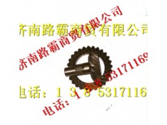 199102320251,STR中桥 28：17盆角齿,济南汇德卡汽车零部件有限公司