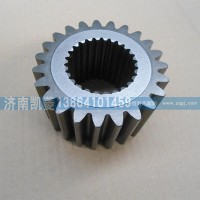 199012340005太陽輪