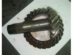 81351996520.,盆角齿,济南汇德卡汽车零部件有限公司