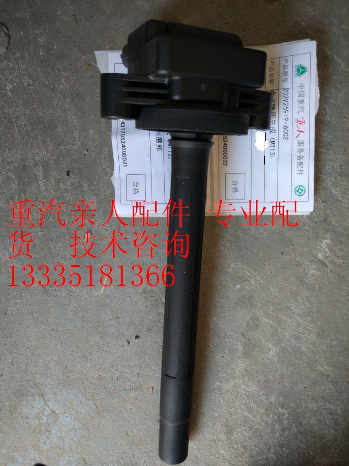 202V25919-6002,点火线圈总成,济南冠泽卡车配件营销中心