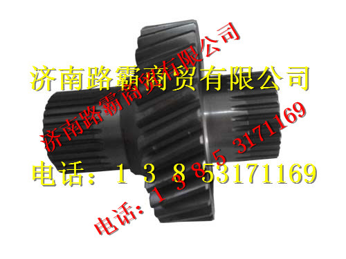 75201738.jpg,一级主动齿,济南汇德卡汽车零部件有限公司