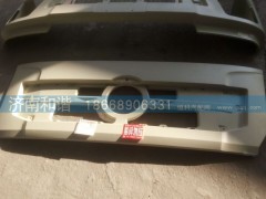 DZ14251110011,前面罩本体,济南和谐汽车配件有限公司