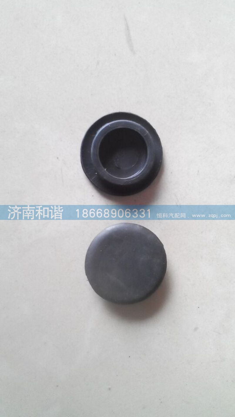 DZ14251970013,陕汽德龙X3000堵塞,济南和谐汽车配件有限公司