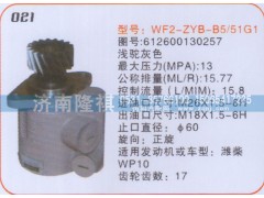 612600130257,转向泵,济南隆祺工贸有限公司