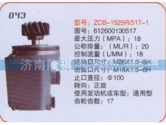 612600130517,转向泵,济南隆祺工贸有限公司