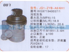 WG971940037-1,转向泵,济南隆祺工贸有限公司