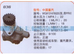 WG9131476025,转向泵,济南隆祺工贸有限公司