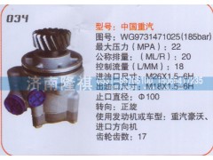 WG9731471025,转向泵,济南隆祺工贸有限公司