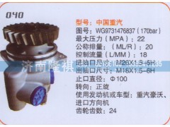 WG9731476837,转向泵,济南隆祺工贸有限公司