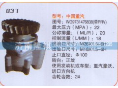 WG9731476838,转向泵,济南隆祺工贸有限公司