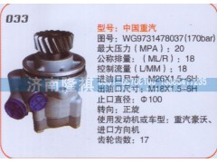 WG9731478037,转向泵,济南隆祺工贸有限公司