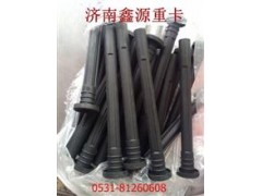 T10-WG1092080190-2,点火线圈防尘套,济南裕丰汽车配件销售中心