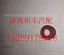 202V04902-0033,重汽曼MC11进气门杆油封,济南裕丰汽车配件销售中心