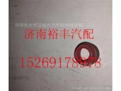 202V04902-0033,重汽曼MC11进气门杆油封,济南裕丰汽车配件销售中心