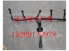 202V25413-6256,重汽曼MC11喷油器线束,济南裕丰汽车配件销售中心