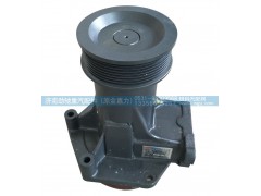 612600061739,水泵总成,济南劲驰重汽配件（原金嘉力）