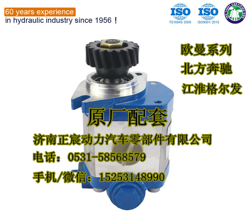 DZ93319130001,转向齿轮泵/助力泵,济南正宸动力汽车零部件有限公司