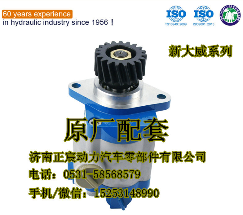 DZ93319130001,转向齿轮泵/助力泵,济南正宸动力汽车零部件有限公司