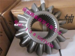 AZ9981320040.jpg,AC16桥半轴齿轮,济南汇德卡汽车零部件有限公司