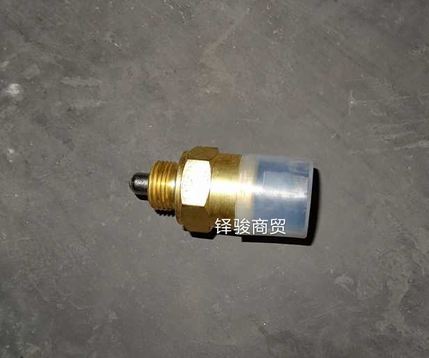 811W25503-0244压力开关(MCY13)图2