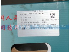 AZ2203100242-8,副箱副轴总成（带花键）,济南聚麟汽车销售服务有限公司