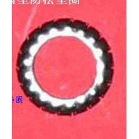 1229X518防松垫圈图1