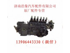 612600080674,博世电喷供油泵,济南浩象汽车配件有限公司