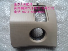 WG1664160535-2.,司机左侧护板总成,济南鹏翔汽车配件有限公司