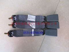 1B24982200006A1629,安全带锁扣右,济南恺航欧曼汽车配件有限公司