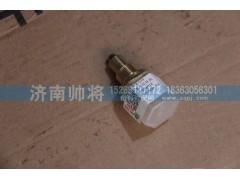 WK-114,倒车灯开关,济南帅将商贸有限公司