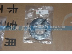 310404002A,后轮毂外油封总成,济南帅将商贸有限公司