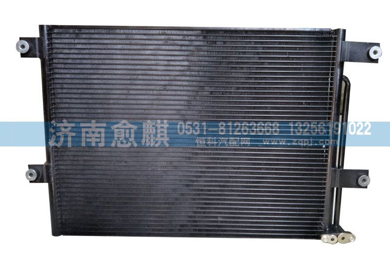 重汽豪沃D12天然氣冷凝器/WG1642820044