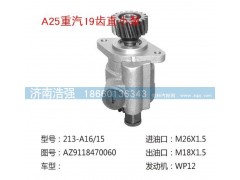 AZ9118470060,重汽19齿直小泵,济南浩强助力泵发展有限公司
