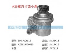 AZ9619470080,重汽17齿小泵转向助力泵,济南浩强助力泵发展有限公司