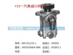 3407020A604-0646,一汽奥威22斜齿转向助力泵,济南浩强助力泵发展有限公司