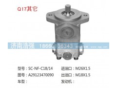 A29123470090,其他转向助力泵，转向泵,济南浩强助力泵发展有限公司