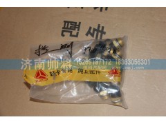 LG9700360063,检测接头(M22),济南帅将商贸有限公司